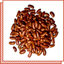 Load image into Gallery viewer, Legumes & Beans