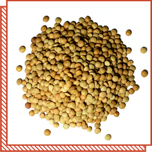 Load image into Gallery viewer, Legumes & Beans