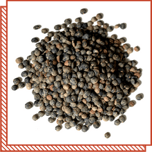 Load image into Gallery viewer, Legumes &amp; Beans
