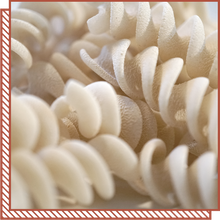 Load image into Gallery viewer, *new* Monty &amp; Sons New Zealand Durum Wheat Pasta