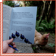 Load image into Gallery viewer, Zine: it is a beautiful day on the marae and you are a baby pūkeko